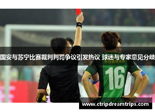 国安与苏宁比赛裁判判罚争议引发热议 球迷与专家意见分歧