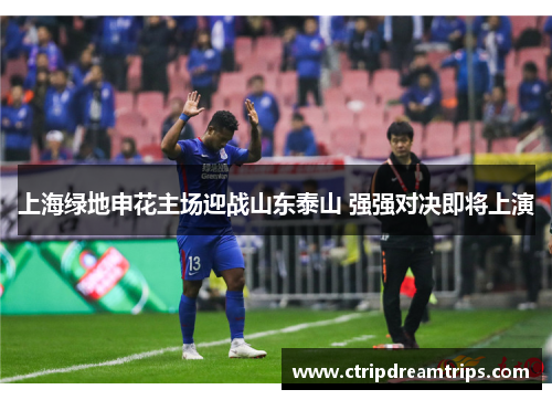 上海绿地申花主场迎战山东泰山 强强对决即将上演