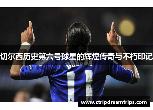 切尔西历史第六号球星的辉煌传奇与不朽印记