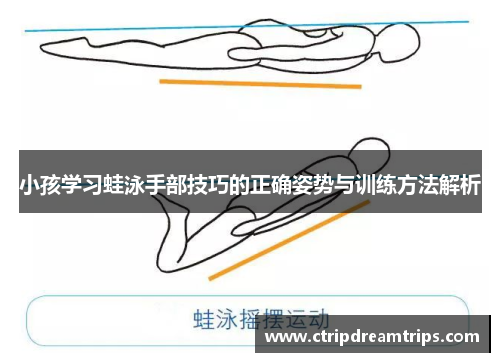 小孩学习蛙泳手部技巧的正确姿势与训练方法解析