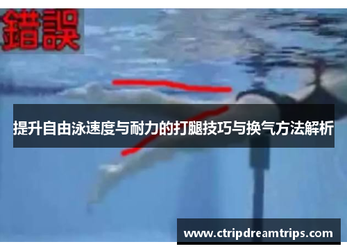 提升自由泳速度与耐力的打腿技巧与换气方法解析