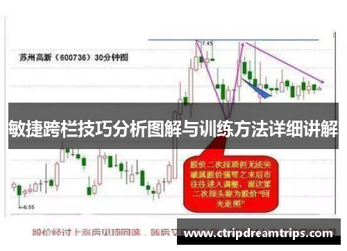 敏捷跨栏技巧分析图解与训练方法详细讲解