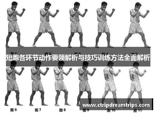 短跑各环节动作要领解析与技巧训练方法全面解析
