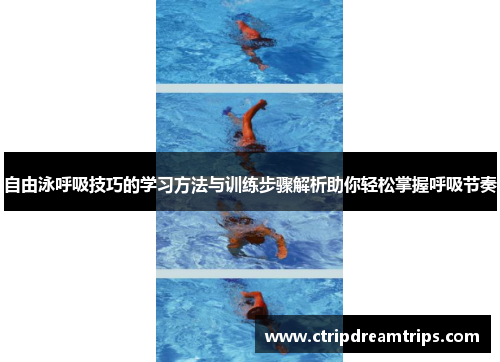 自由泳呼吸技巧的学习方法与训练步骤解析助你轻松掌握呼吸节奏