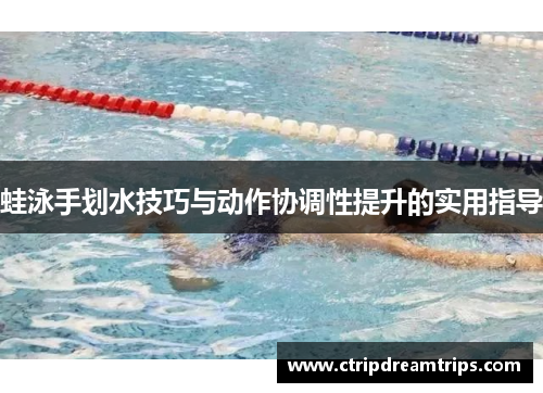 蛙泳手划水技巧与动作协调性提升的实用指导